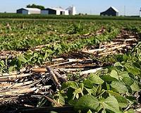 No-till agriculture may not bring hoped-for boost in global crop yields