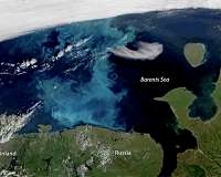 Arctic sea ice decline driving ocean phytoplankton farther north