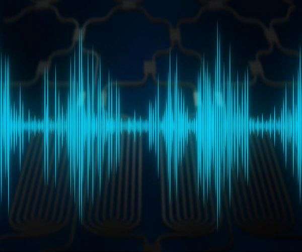 Effects of natural noise pollution on animals similar to noise from humans