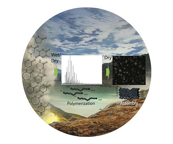 Scientists discover new organic compounds that could have helped form the first cells