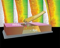 'Nano scalpel' allows scientists to manipulate materials with nanometer precision