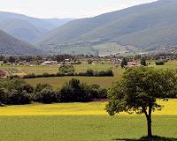 3,000 Italian farms 'need quake help'
