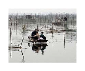 200 million people at risk from toxic pollution: environmentalists