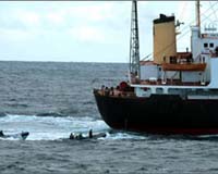 US slaps sanctions on two N.Korean shipping companies