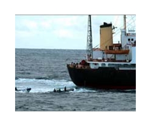 US intercepted N. Korea ship over arms fears