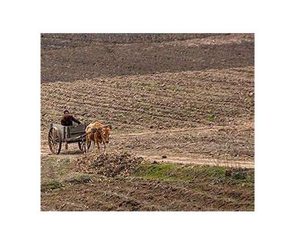 North Korea mobilises white-collar workers to fight drought: state media