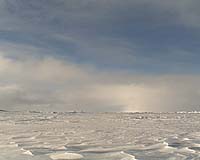 North Pole may have no ice this summer: US expert