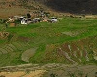 Trade liberalization could buffer economic losses in agriculture