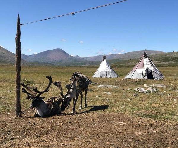 Ethnic Mongolians in China protest switch to Mandarin schooling