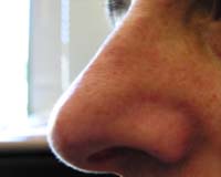 Human Noses To Sniff Out Pollutants Across China