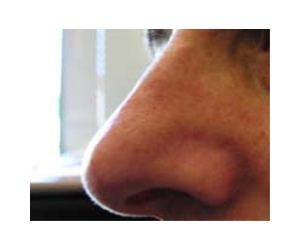 Scientists use noses to help disabled write, surf, move