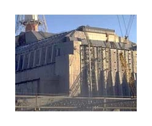 Discovery Of The Secrets That Enable Plants Near Chernobyl To Shrug Off Radiation