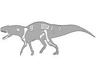 Paleontologist names 9-foot-long 'predator croc' that preceded dinosaurs