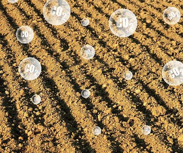 New UCF project examines key role soils play in keeping the planet cool