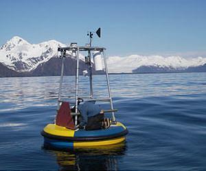 Earth on Acid: The Present and Future of Global Acidification