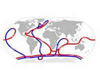 Marine heatwaves may force fish to flee huge distances: study