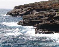The last wild ocean