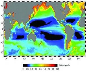 Ancient Microbes Responsible For Breathing Life Into Ocean 'Deserts'
