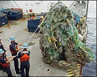 Studying The Garbage Of The Modern Ocean