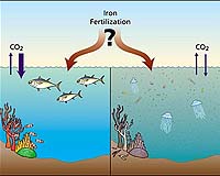 Scientists, Policymakers, And Industry Leaders Gather To Discuss Ocean Iron Fertilization