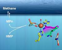 Researchers establish long-sought source of ocean methane
