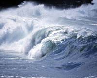 Russia issues tsunami alert after quake: report