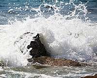 First UN talks to save oceans kick off Monday