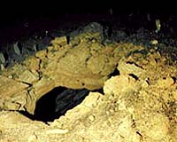 Engineered Weathering Process Could Mitigate Global Warming