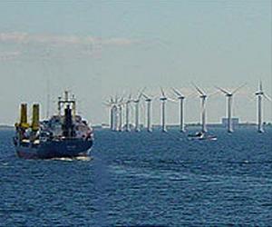 Wind turbines pose threat to Baltic porpoise: researcher