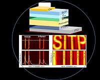 Ultrafast and broadband perovskite photodetectors for large-dynamic-range imaging