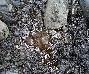 ExxonMobil Faces Shareholder Challenge On Oil Sands