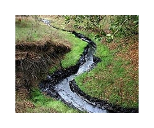 Oil spills blight Nigeria's creeks