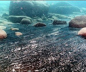 Listening For Ocean Spills And Their Ecological Effects