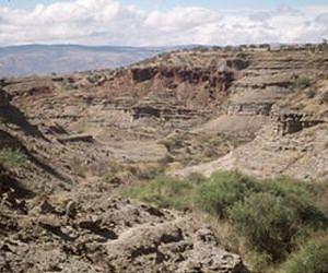 Fluctuating environment may have driven human evolution