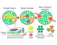 OLED surpasses 100 percent exciton production efficiency