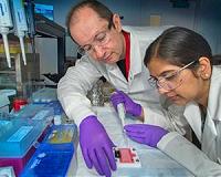 DNA-Linked Nanoparticles Form Switchable Thin Films on a Liquid Surface