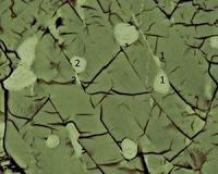 Study of shear zones yields data on earthquakes deep below surface