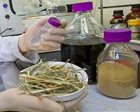 One-stop shop for biofuels