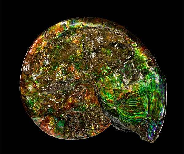 Cataloging the diverse origins of Earth's minerals