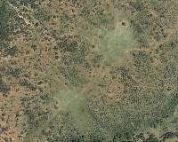 Ancient livestock dung heaps are now African wildlife hotspots