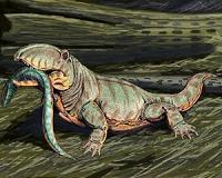 Fossil bone growth reveals the ancestry of mammalian warm-bloodedness