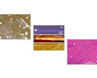 Novel method to fabricate nanoribbons from speeding nano droplets