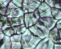 Meniscus-assisted technique produces high efficiency perovskite PV films