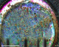 Seeing Mars In A Particle Of Dust