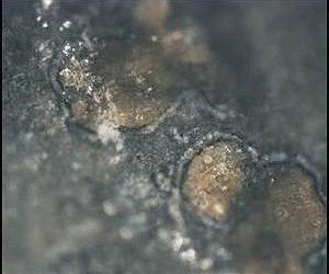 The Continuing Controversy Of The Mars Meteorite