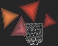Controlling the properties of matter in two-dimensional crystals