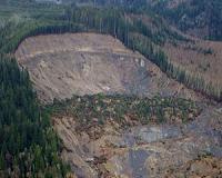 Seven killed in Guinea landslide: government