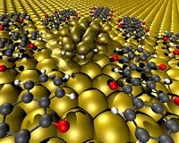 Researchers implant organic electronics inside plants