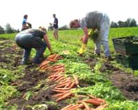 Environment-friendly products output to double: UN