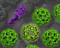 Electrical conductivity in doped organic semiconductors deciphered